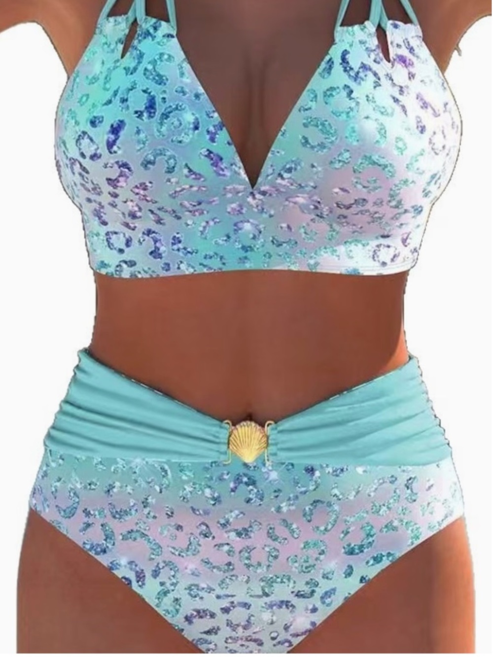 Blue & Pink Ombre Leopard Print Bikini Set - Large